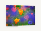 Poppies in Blue Haze, orange california poppy meadow photograph, floral canvas wall art print ready to hang