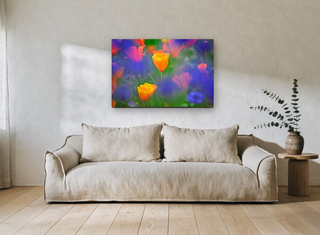 Poppies in Blue Haze floral canvas print on the wall of a living room