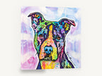 Rainbow Pit Bull Portrait, colourful pop art pit bull portrait, animal canvas wall art print ready to hang
