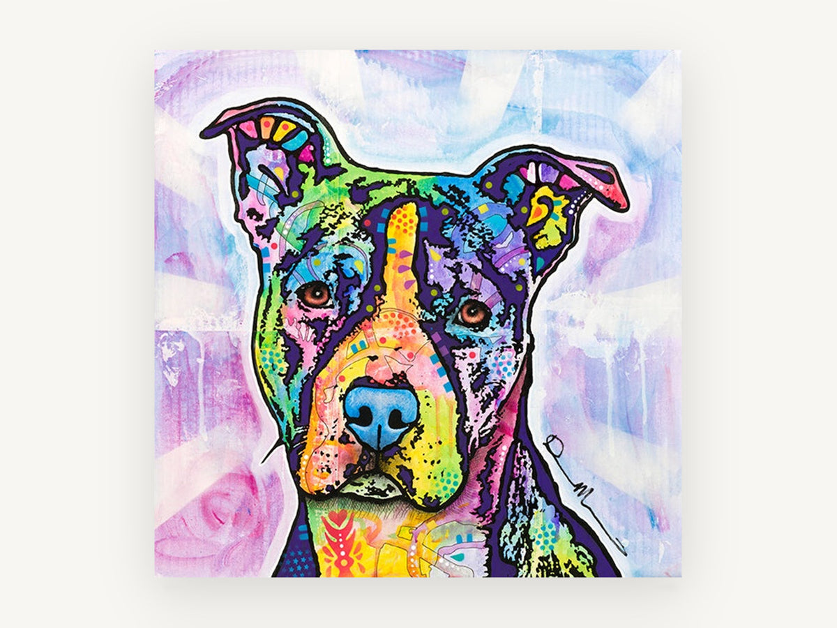 Rainbow Pit Bull Portrait, colourful pop art pit bull portrait, animal canvas wall art print, front view