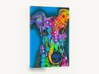 Rainbow Greyhound Gaze, colourful pop art greyhound portrait, animal canvas wall art print ready to hang