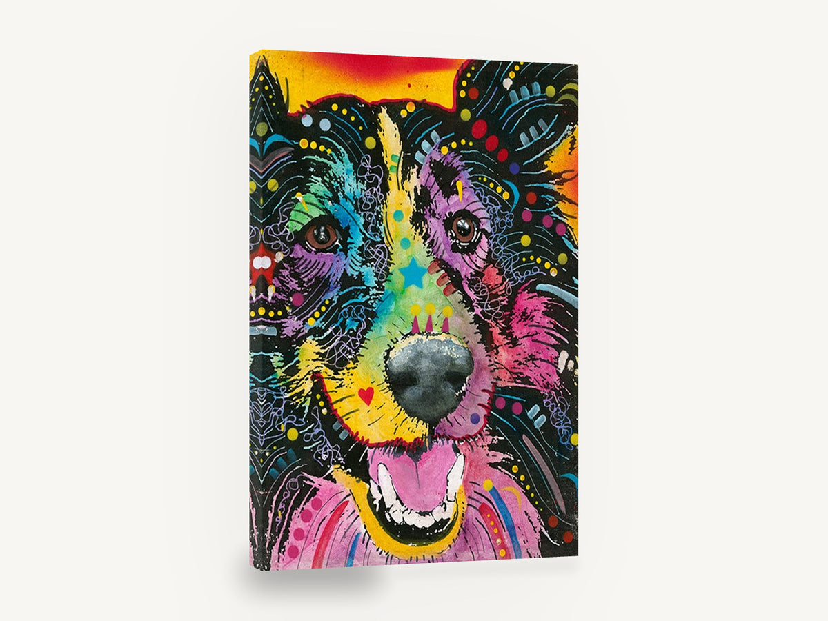 Rainbow Collie Smile, colourful pop art collie portrait, animal canvas wall art print ready to hang