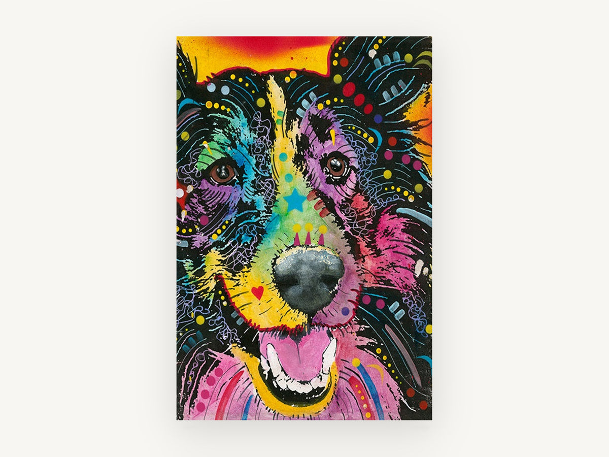 Rainbow Collie Smile, colourful pop art collie portrait, animal canvas wall art print, front view