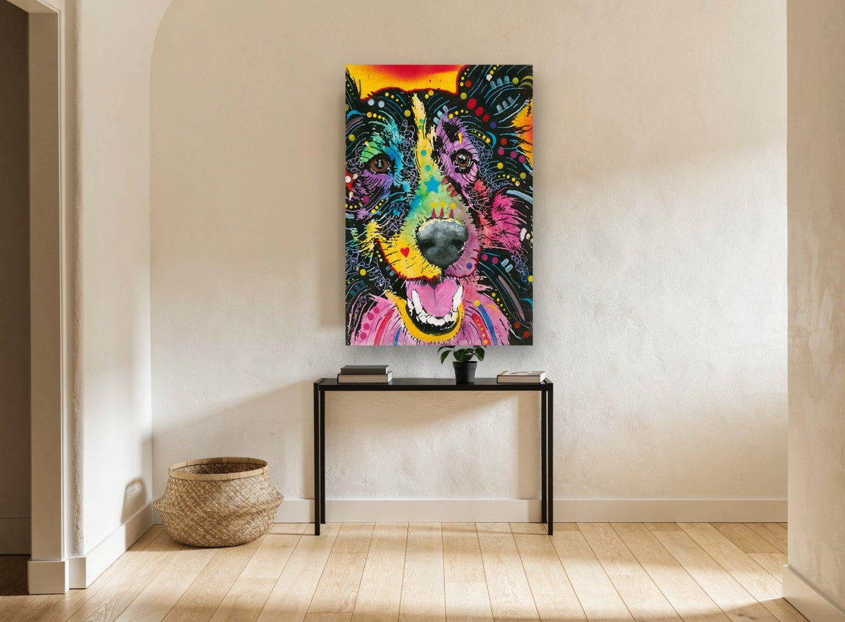 Rainbow Collie Smile animal canvas print on the wall of a hallway
