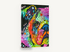 Rainbow Bulldog Stare, colourful pop art bulldog portrait, animal canvas wall art print ready to hang