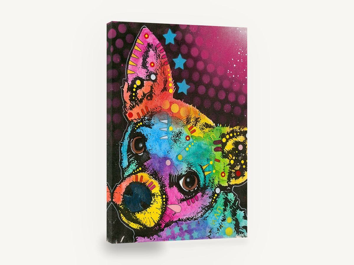 Curious Rainbow Chihuahua, colourful pop art chihuahua portrait, animal canvas wall art print ready to hang