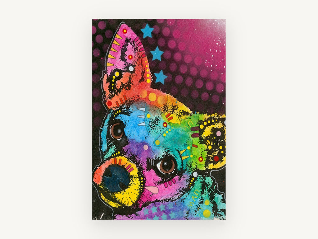 Curious Rainbow Chihuahua, colourful pop art chihuahua portrait, animal canvas wall art print, front view