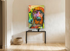 Rainbow Hound Close-Up animal canvas print on the wall of a hallway
