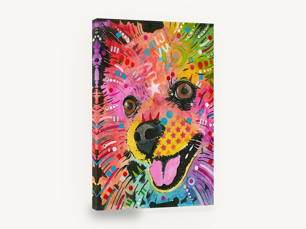 Rainbow Pomeranian Smile, colourful pop art pomeranian portrait, animal canvas wall art print ready to hang