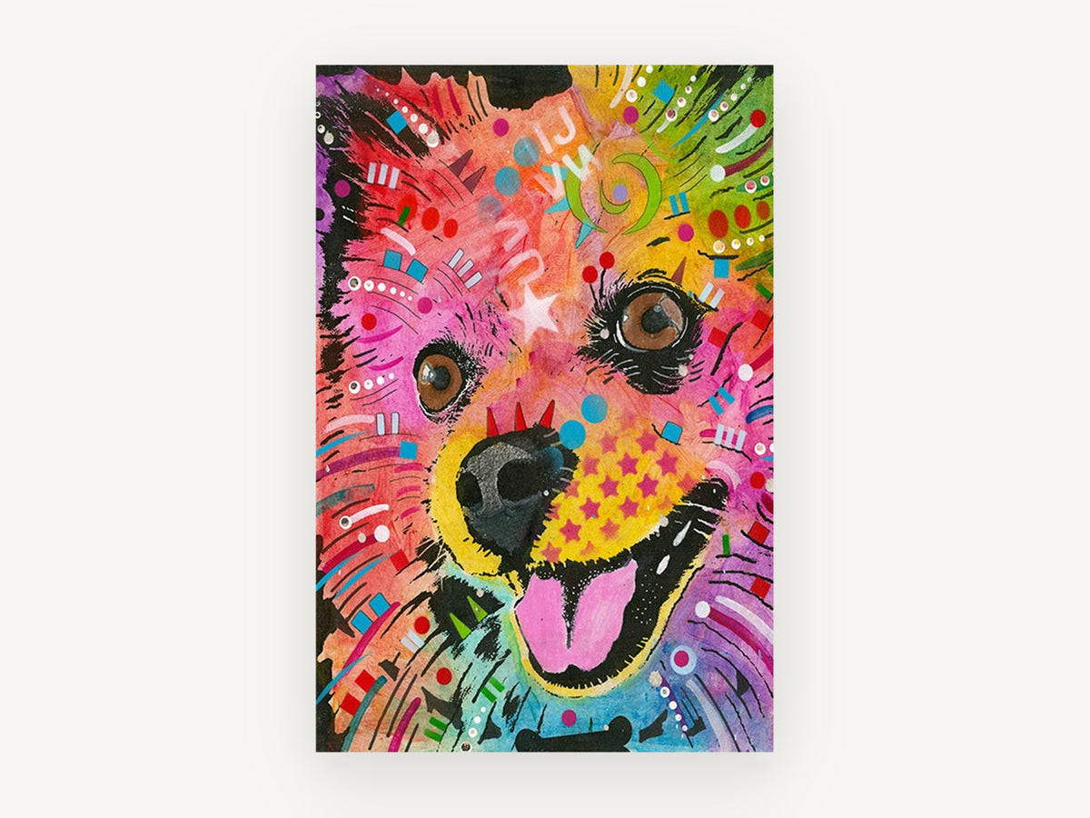 Rainbow Pomeranian Smile, colourful pop art pomeranian portrait, animal canvas wall art print, front view