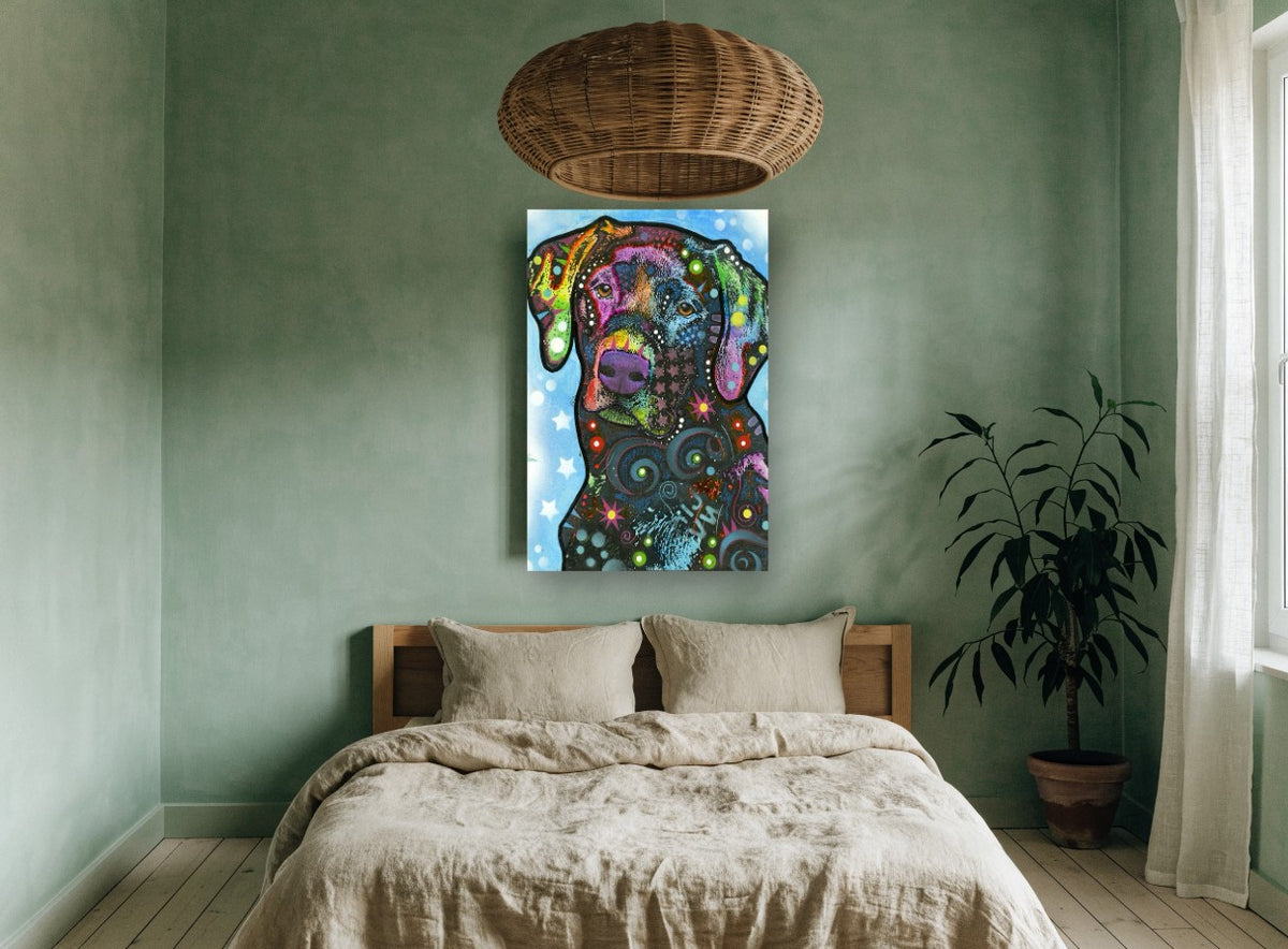 Rainbow Star Labrador animal canvas print on the wall of a bedroom