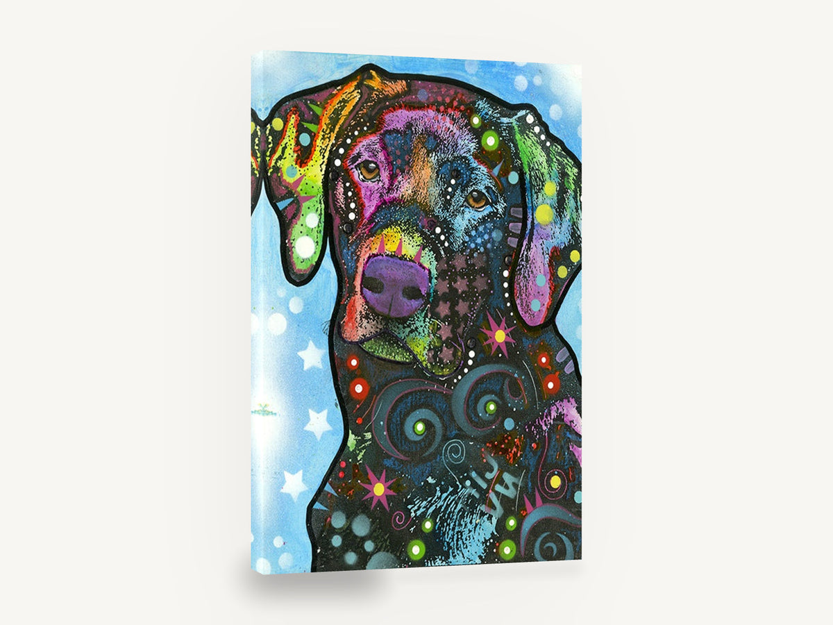 Rainbow Star Labrador, colourful pop art labrador portrait, animal canvas wall art print ready to hang