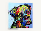 Rainbow Tilted Mastiff, colourful pop art mastiff portrait, animal canvas wall art print ready to hang