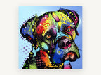 Rainbow Tilted Mastiff, colourful pop art mastiff portrait, animal canvas wall art print, front view
