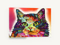 Neon Patchwork Cat, colourful pop art cat illustration, animal canvas wall art print ready to hang