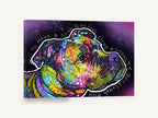 Rainbow Soul Pit Bull, colourful pit bull pop art portrait, animal canvas wall art print ready to hang