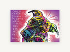 Pit Bull Love Confession, colourful pit bull pop art illustration, animal canvas wall art print, front view