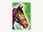 Star Halter Horse, pop art horse head illustration, animal canvas wall art print, front view