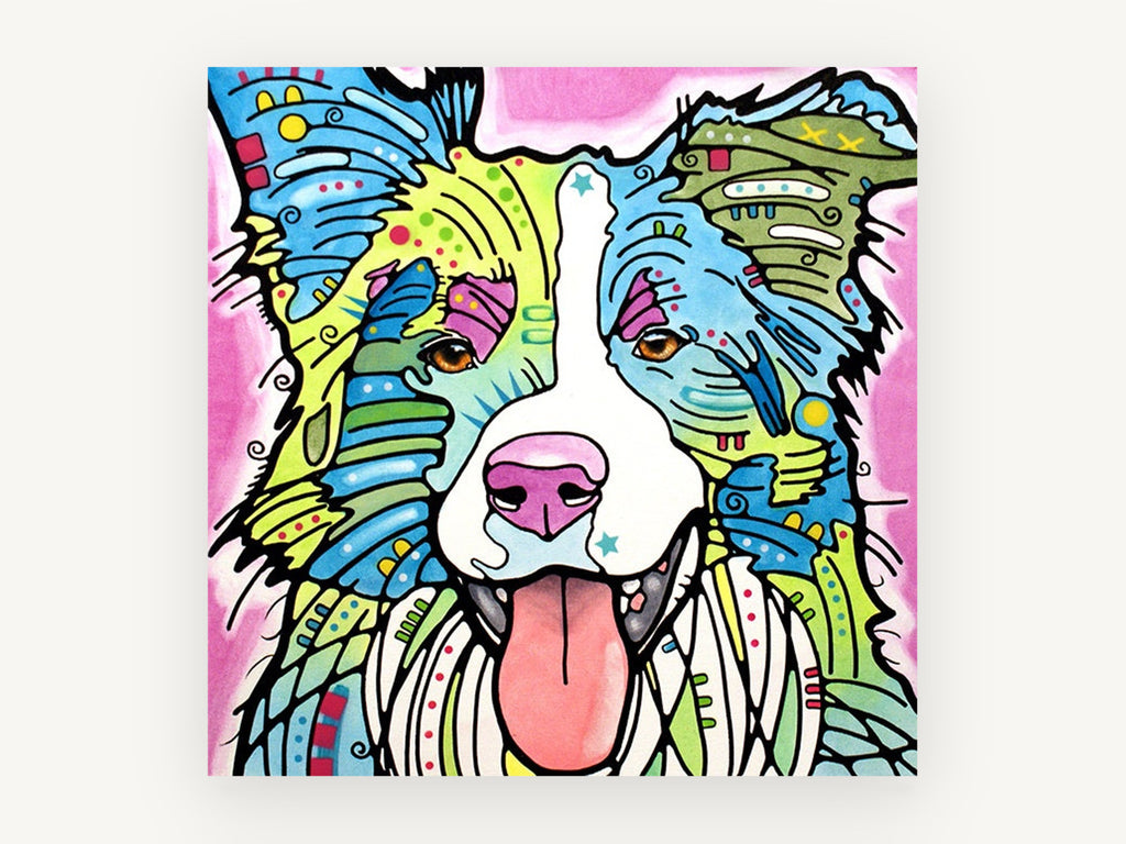Bright Border Collie, colourful border collie pop art illustration, animal canvas wall art print, front view