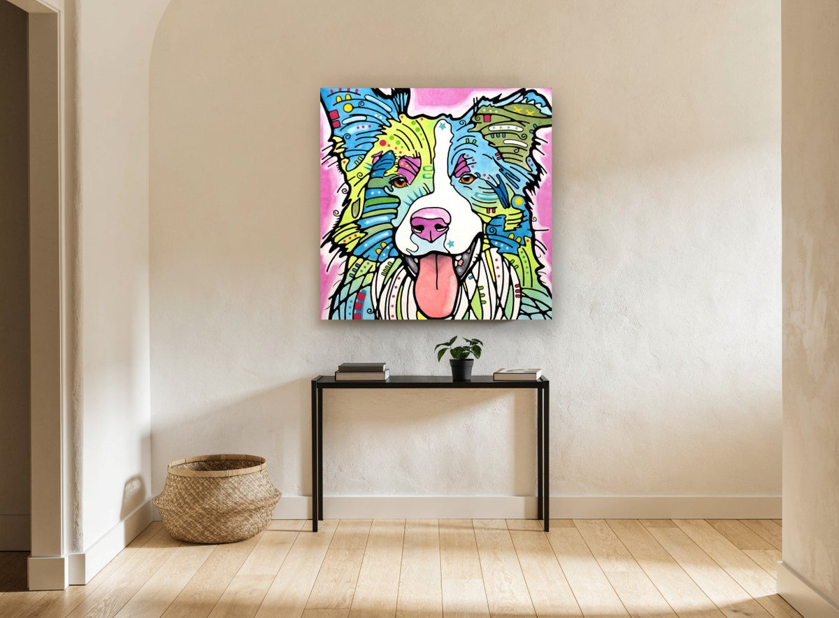 Bright Border Collie animal canvas print on the wall of a hallway