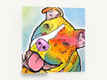 Tilted Head Rainbow Staffy, colourful staffy pop art portrait, animal canvas wall art print ready to hang