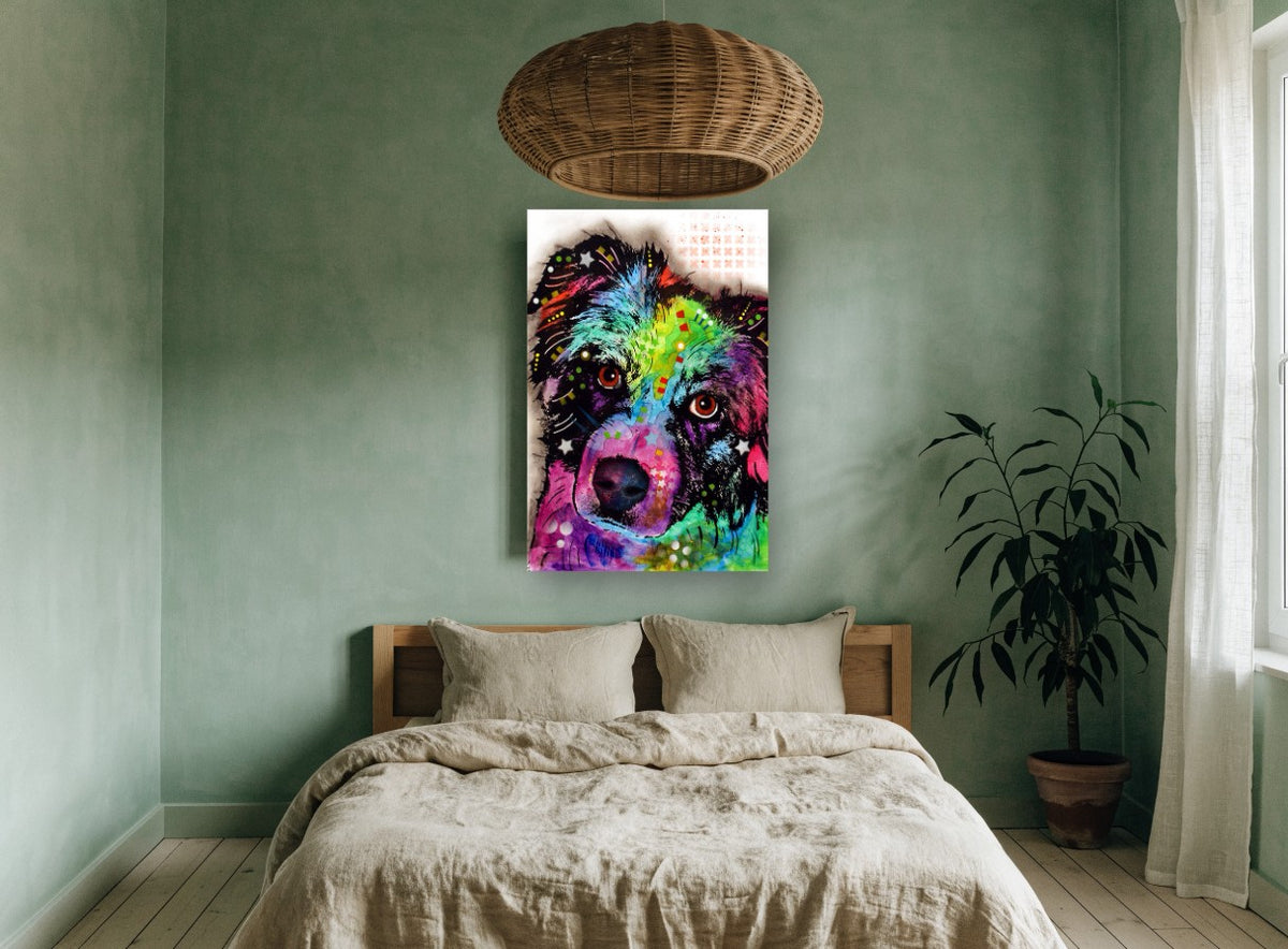 Rainbow Shepherd Gaze animal canvas print on the wall of a bedroom