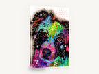 Rainbow Shepherd Gaze, colourful pop art dog portrait, animal canvas wall art print ready to hang