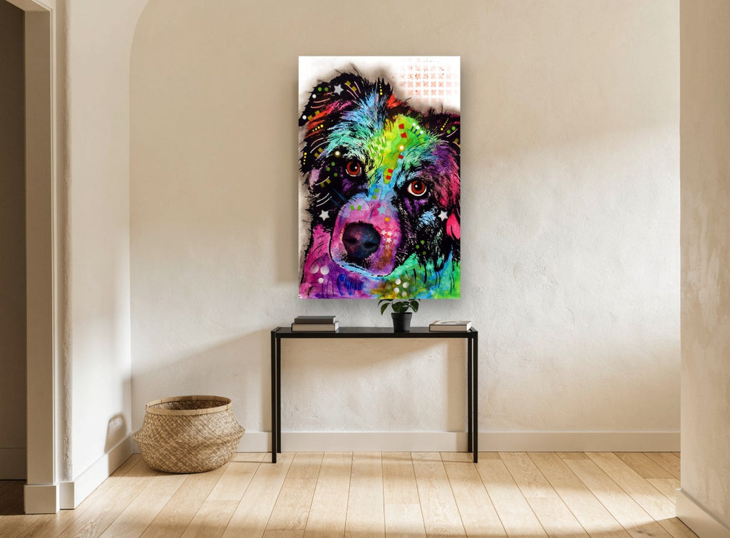Rainbow Shepherd Gaze animal canvas print on the wall of a hallway