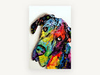 Tilted Head Pop Dane, colourful great dane pop art portrait, animal canvas wall art print, front view