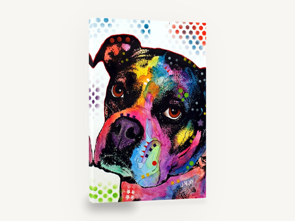 Rainbow Boxer Gaze, colourful pop art boxer dog, animal canvas wall art print ready to hang