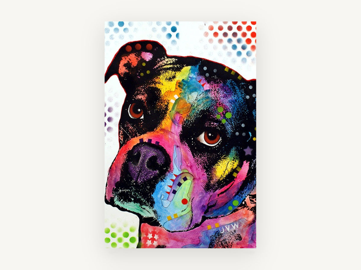 Rainbow Boxer Gaze, colourful pop art boxer dog, animal canvas wall art print, front view