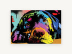 Neon Lab Daydream, colourful pop art labrador illustration, animal canvas wall art print, front view