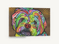 Rainbow Shih Tzu Gaze, colourful shih tzu pop art portrait, animal canvas wall art print ready to hang