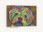 Rainbow Shih Tzu Gaze, colourful shih tzu pop art portrait, animal canvas wall art print ready to hang