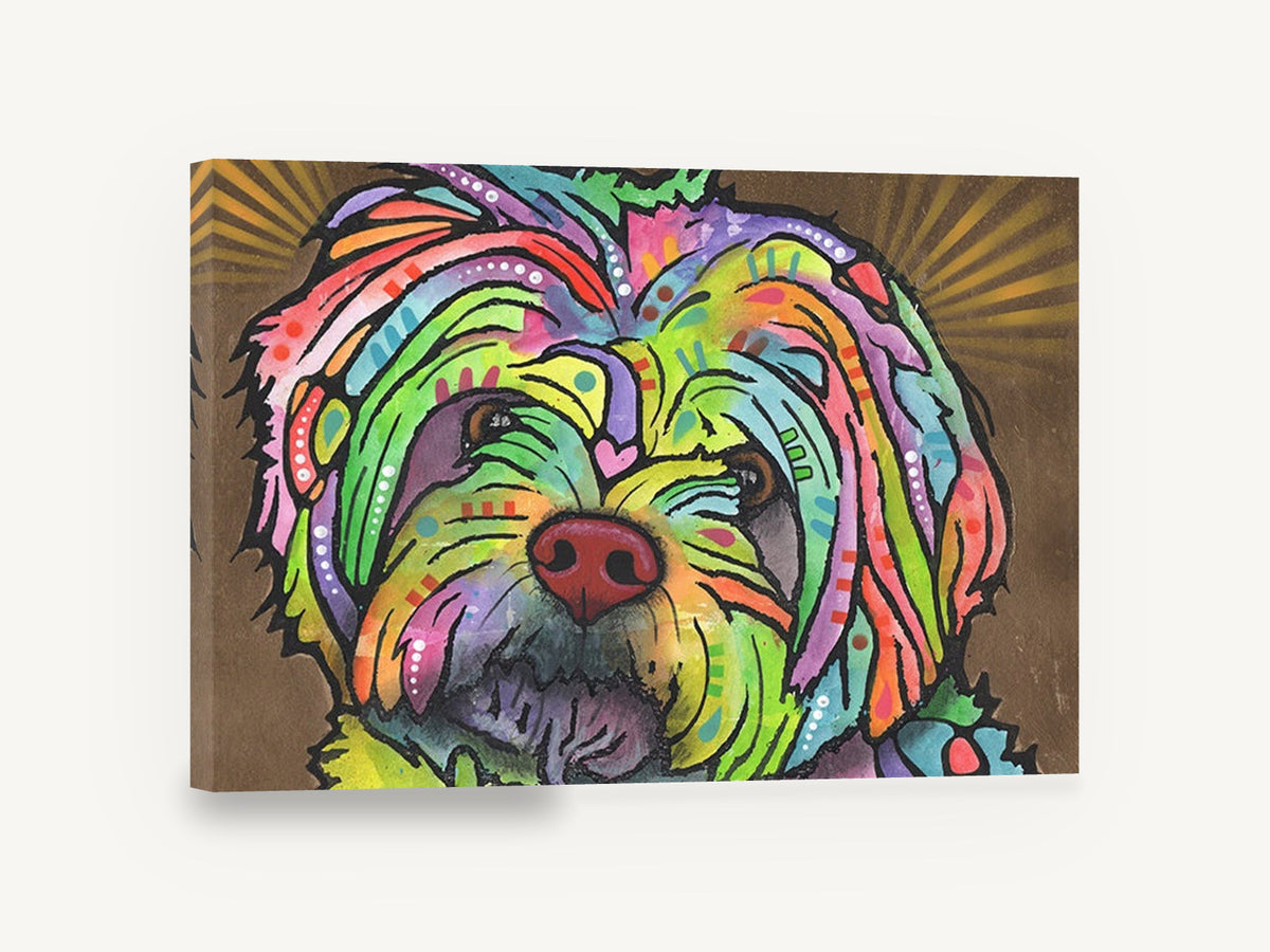 Rainbow Shih Tzu Gaze, colourful shih tzu pop art portrait, animal canvas wall art print ready to hang