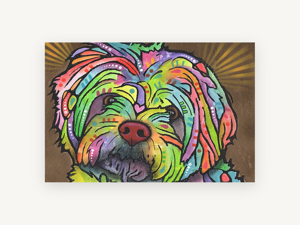 Rainbow Shih Tzu Gaze, colourful shih tzu pop art portrait, animal canvas wall art print, front view