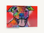 Grinning Rainbow Pitbull, colourful pop art pitbull portrait, animal canvas wall art print ready to hang