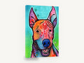 Boo the Rainbow Pup, colourful pop art dog portrait, animal canvas wall art print ready to hang