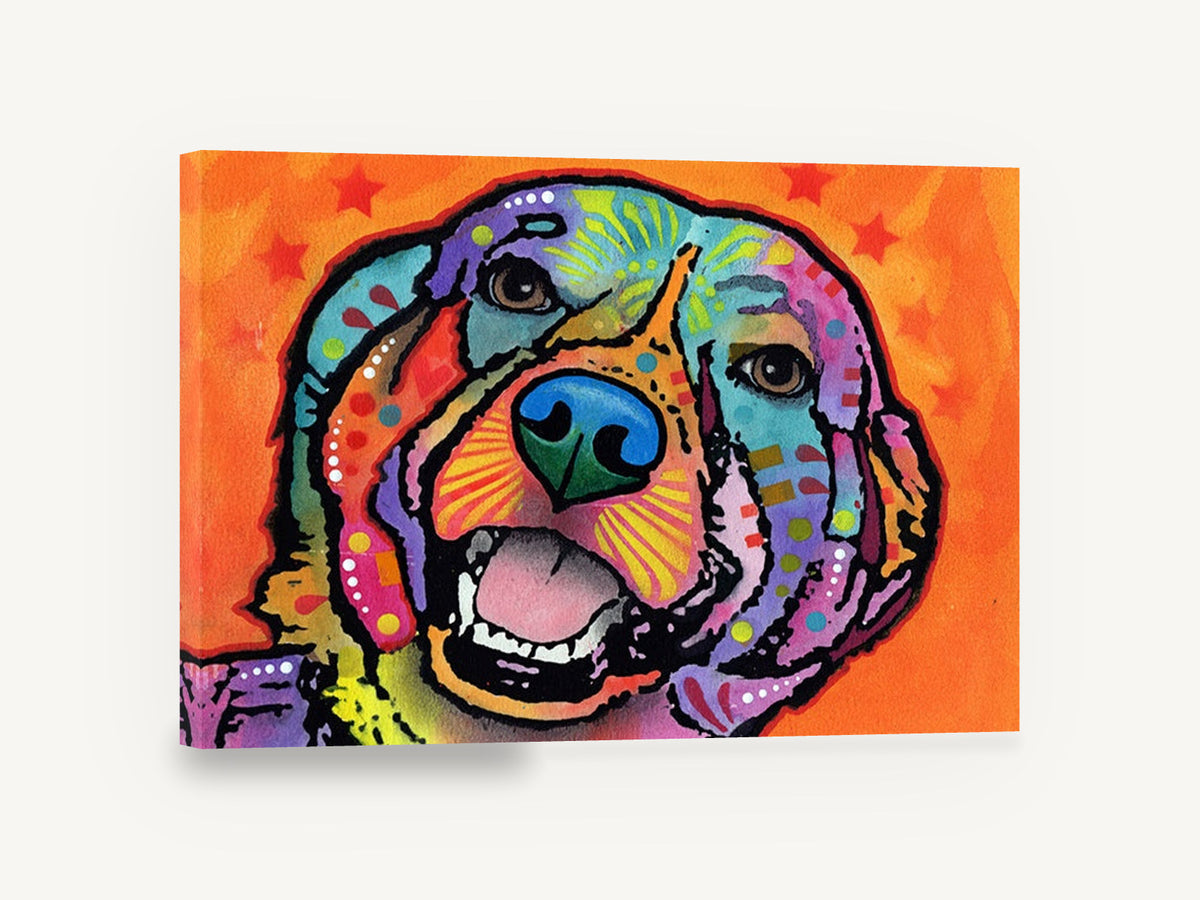 Rainbow Retriever Grin, colourful pop art dog portrait, animal canvas wall art print ready to hang
