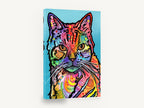Rainbow Tabby Stare, colourful pop art cat illustration, animal canvas wall art print ready to hang