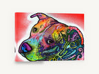 Rainbow Pit Bull Gaze, colourful pit bull pop art portrait, animal canvas wall art print ready to hang