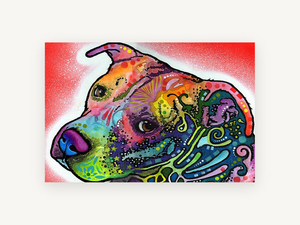 Rainbow Pit Bull Gaze, colourful pit bull pop art portrait, animal canvas wall art print, front view
