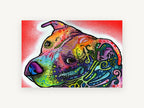 Rainbow Pit Bull Gaze, colourful pit bull pop art portrait, animal canvas wall art print, front view