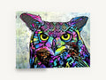 Neon Patchwork Owl, colourful pop art owl illustration, animal canvas wall art print ready to hang