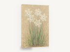 Pale Daffodils on Parchment, white daffodils soft neutral botanical, floral canvas wall art print ready to hang