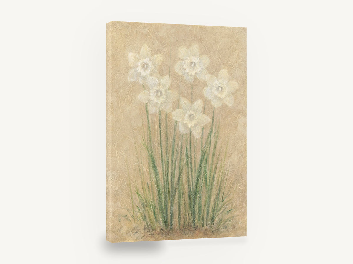 Pale Daffodils on Parchment, white daffodils soft neutral botanical, floral canvas wall art print ready to hang