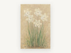 Pale Daffodils on Parchment, floral canvas wall art print, front view