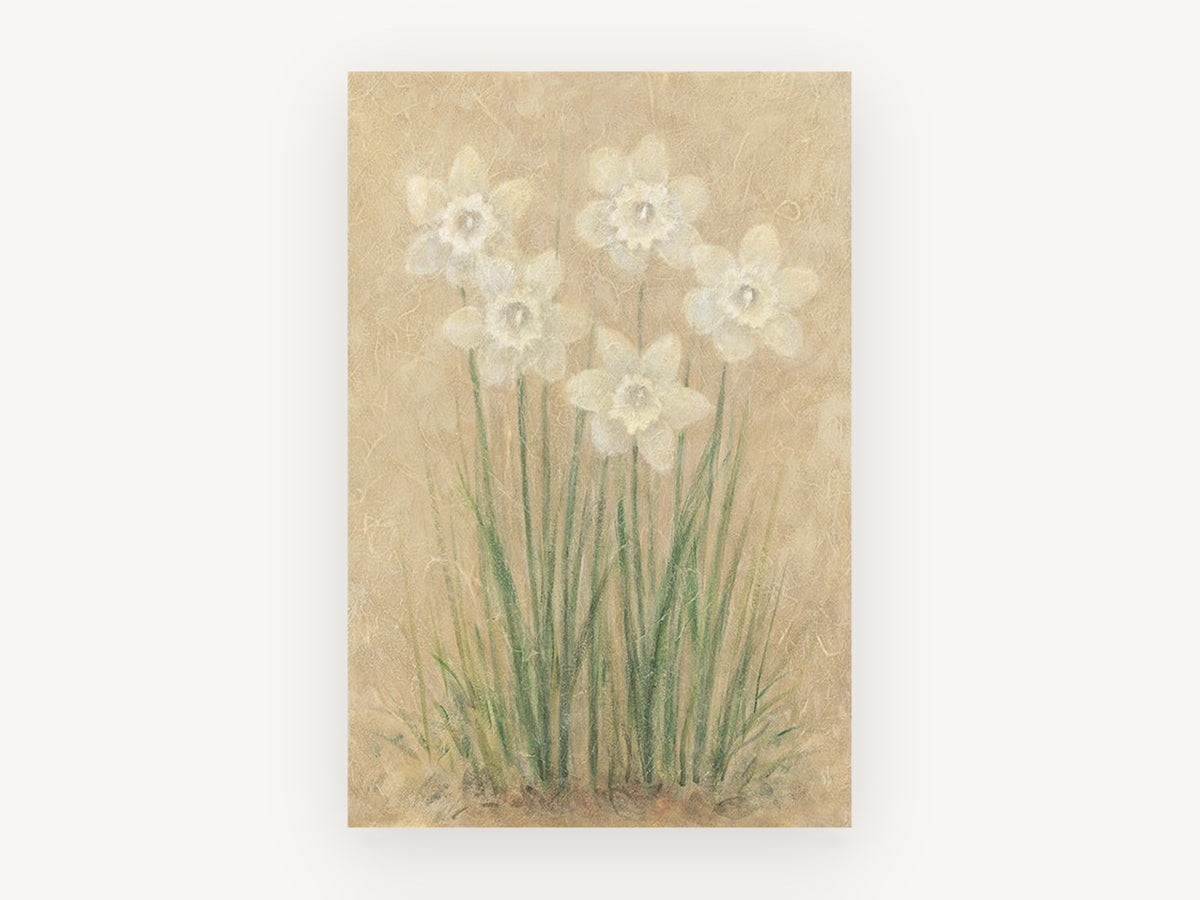 Pale Daffodils on Parchment, floral canvas wall art print, front view