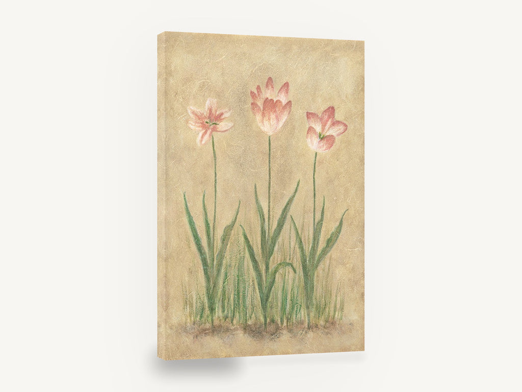 Three Pink Tulips, pink tulips botanical study, floral canvas wall art print ready to hang