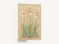 Three Pink Tulips, pink tulips botanical study, floral canvas wall art print ready to hang